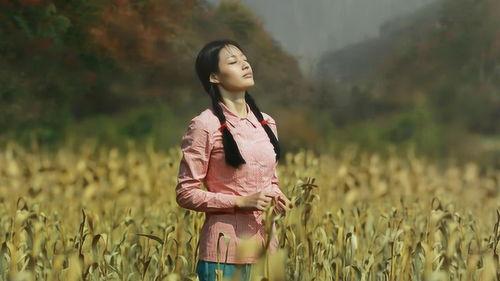 青青草国产电影,国产电影中的青春记忆与成长轨迹